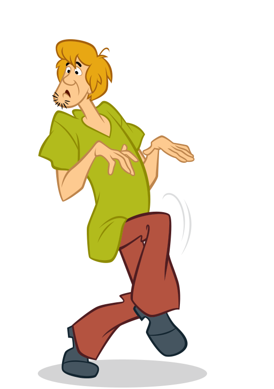 Member 2 - Shaggy Rogers